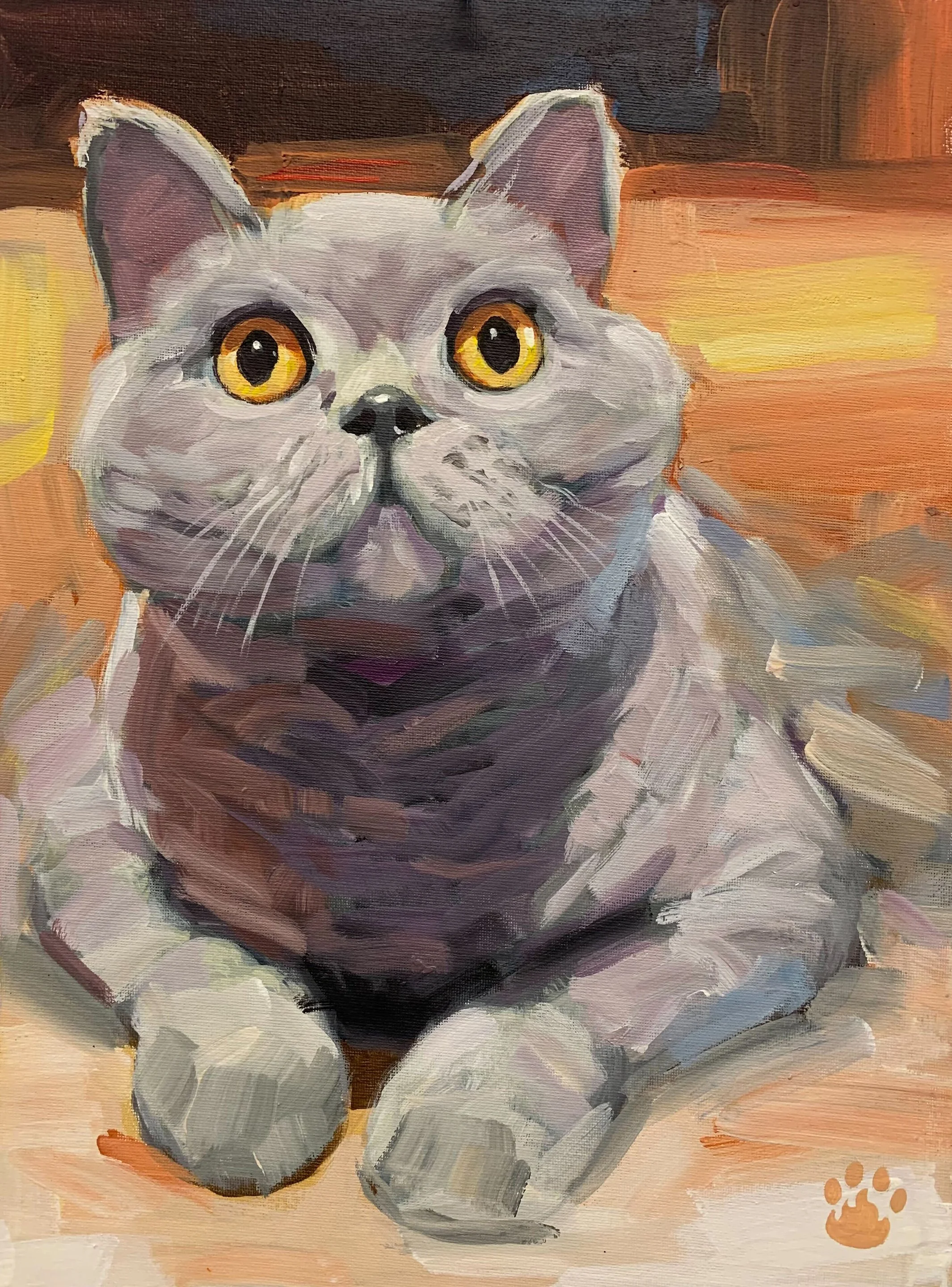 Pet Portraits for CA Animals